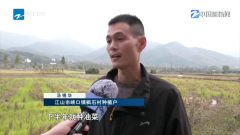 中国蓝察看丨“秸”尽所能变废为宝浙江摸索秸