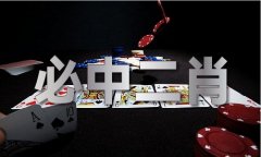 澳门内部材料精准1