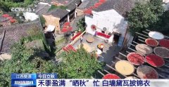 “粿汤”“晒秋”“啃秋”……来看立秋时节多