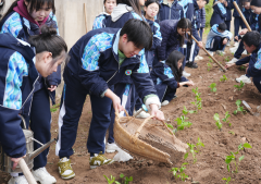 宁波市正始中学：举行农耕文化节“育”见劳动