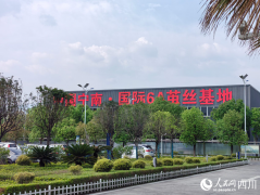 南丝路上“南丝路”：盯住小桑叶成长大思绪